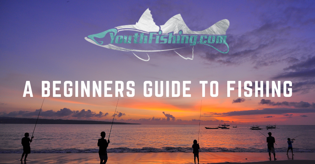 A Graphic Displaying The Blog Title: "A Beginners Guide To Fishing"